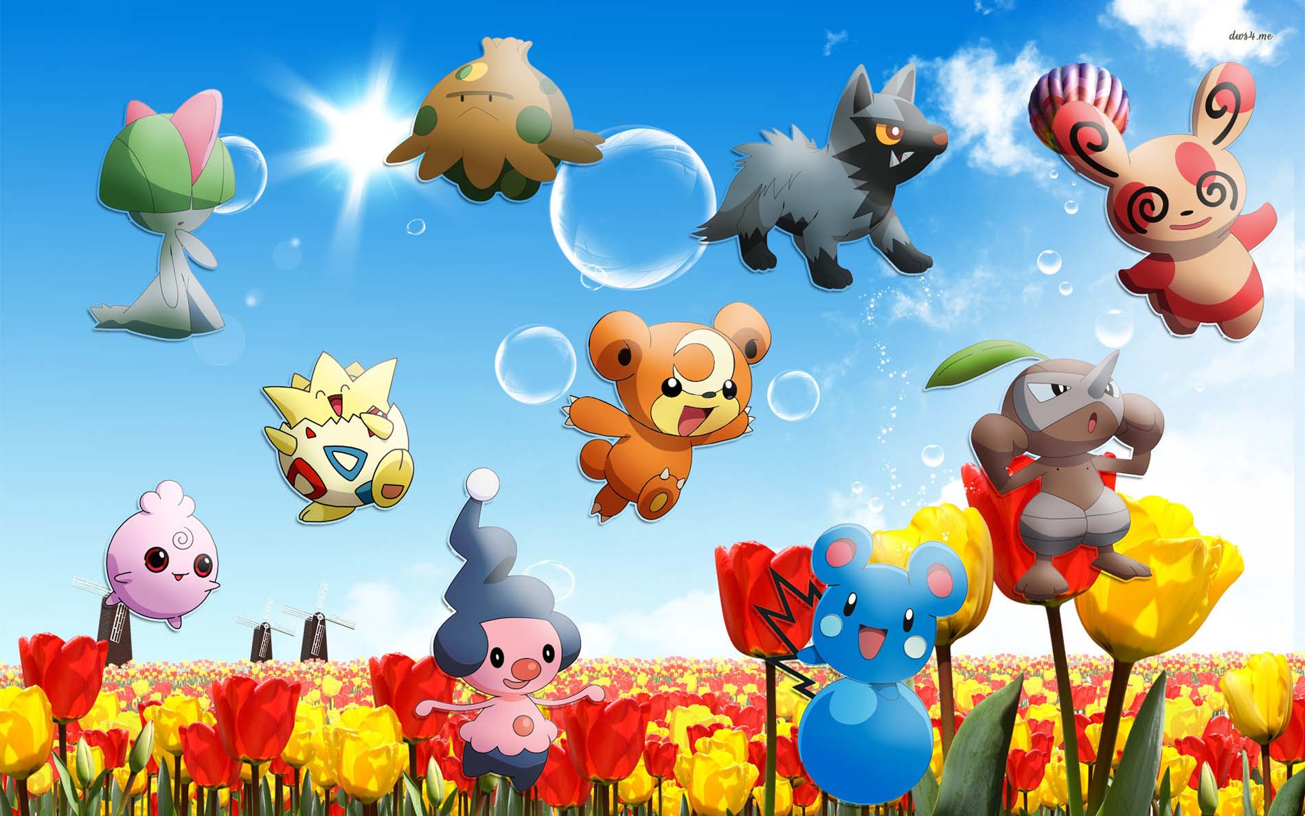 Cute Pokemon Wallpapers  Top Những Hình Ảnh Đẹp