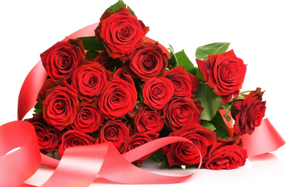 Top 20 hình nền hoa hồng đẹp nhất Thỏa sức lựa chọn